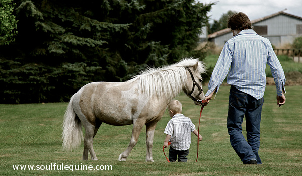 Horse Quotes