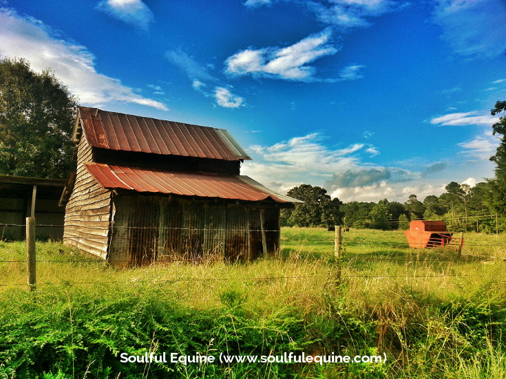 organic farm