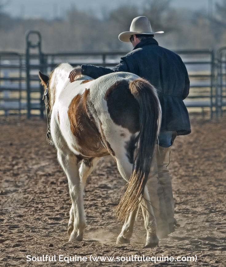 Learn Something Faster Than Your Horse