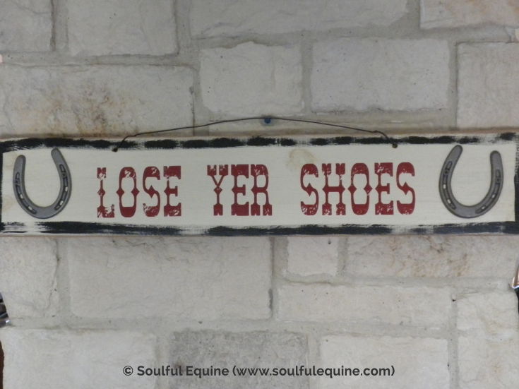 Pulling Your Horse's Shoes