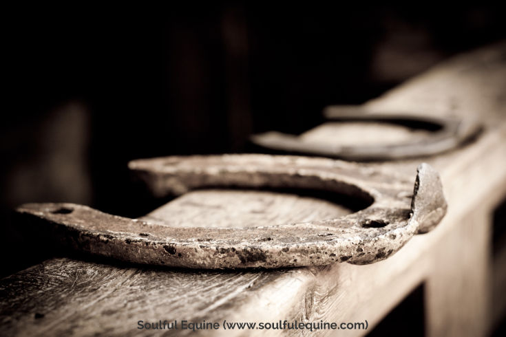 horseshoes