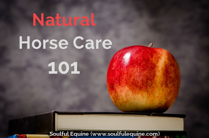 Natural Horse Care 101 by Soulful Equine