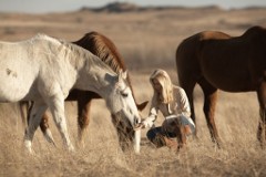 Madeleine Pickens & The Wild Mustangs