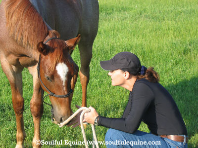 Stephanie Krahl and Ransom