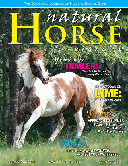 Natural Horse Magazine