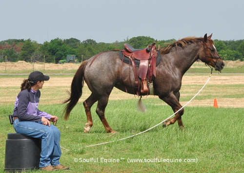 True Horsemanship